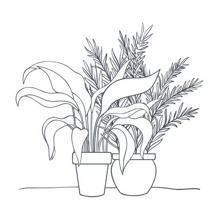 Design Strategies: Incorporating Local Flora