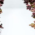 Seasonal Scents: Creating a Cosy Autumn & Winter Home in Britain