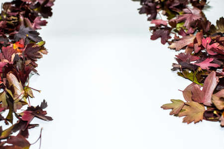 Seasonal Scents: Creating a Cosy Autumn & Winter Home in Britain