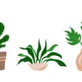 Integrating Local Flora: The Influence of British Plants in Home Design