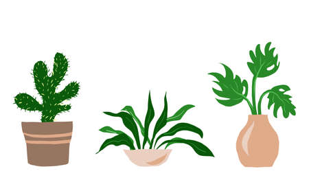 Integrating Local Flora: The Influence of British Plants in Home Design