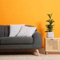 DIY Wall Treatments: Affordable Options for Adding Character to Your Interior