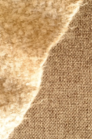 The Science of Texture: How Tactile Elements Influence Wellbeing in UK Homes
