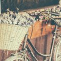Combining Vintage and Modern Styles: Upcycling Furniture for Contemporary UK Homes