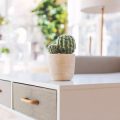 How to Style Your Home with Finds from British Pound Shops