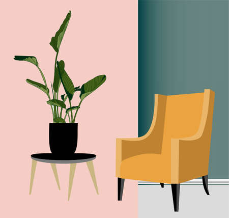 Temporary and Damage-Free Colour Solutions