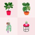 Seasonal Switch-Ups: Creating DIY Wall Art for Every British Season