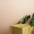 Eco-Friendly Wallpaper Choices: Sustainability in the UK Market