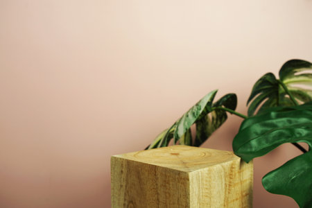 Eco-Friendly Wallpaper Choices: Sustainability in the UK Market