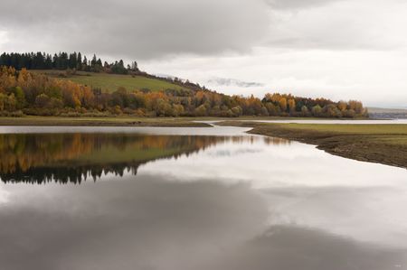Natural Textures and Patterns: Reflecting the British Landscape